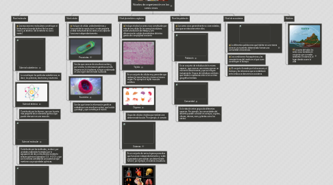 Mind Map: Niveles de organización en los seres vivos
