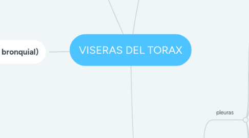 Mind Map: VISERAS DEL TORAX