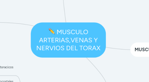 Mind Map: MUSCULO ARTERIAS,VENAS Y NERVIOS DEL TORAX
