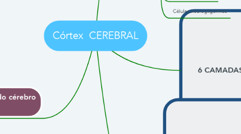 Mind Map: Córtex  CEREBRAL