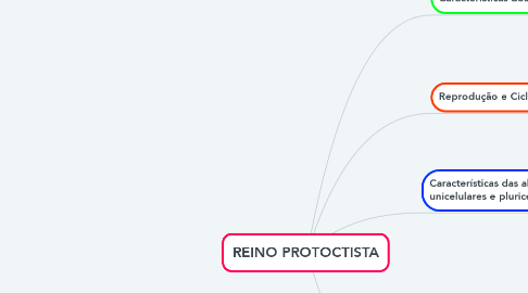Mind Map: REINO PROTOCTISTA