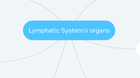 Mind Map: Lymphatic System's organs