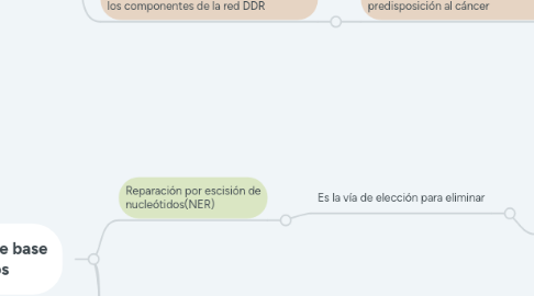 Mind Map: Reparación y el tipo de la lesión de DNA