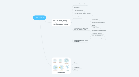 Mind Map: ResOVilles 12/04