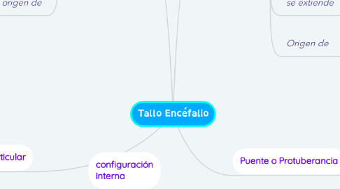 Mind Map: Tallo Encéfalio