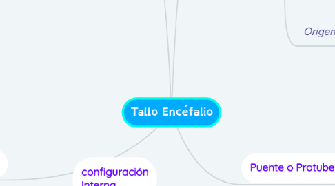 Mind Map: Tallo Encéfalio