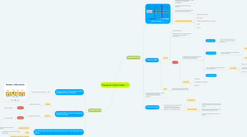 Mind Map: Transporte a Nivel Celular