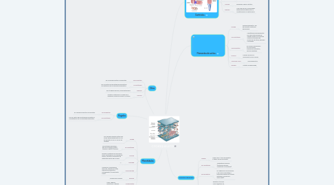 Mind Map: CITOESQUELETO