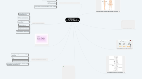 Mind Map: INTRODUÇÃO AO ESTUDO DA ANATOMIA