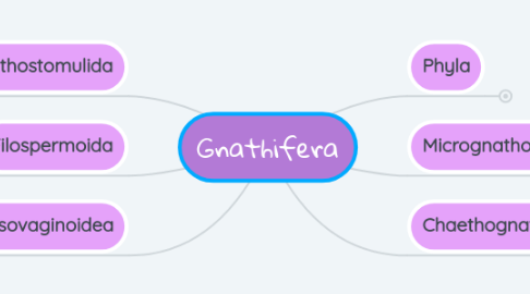 Mind Map: Gnathifera