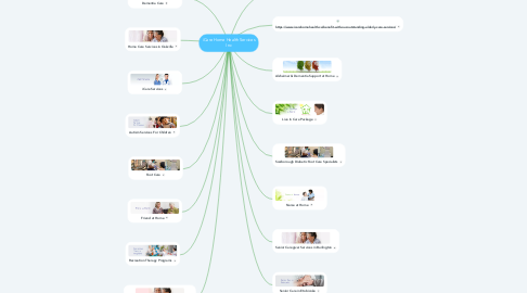 Mind Map: iCare Home Health Services Inc