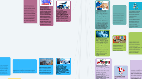 Mind Map: CAPÍTULO 6 TRATADOS Y CONVENCIONES INTERNACIONALES