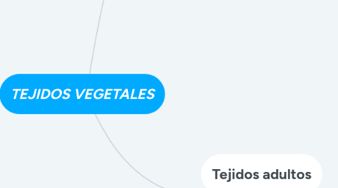 Mind Map: TEJIDOS VEGETALES