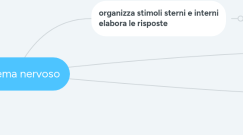 Mind Map: il sistema nervoso