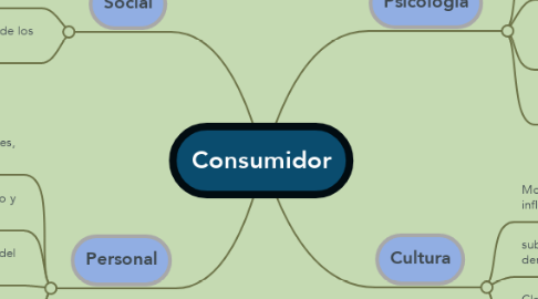 Mind Map: Consumidor