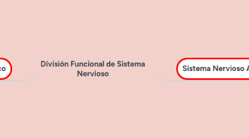 Mind Map: División Funcional de Sistema Nervioso