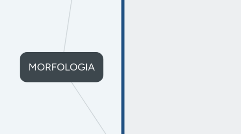 Mind Map: MORFOLOGIA