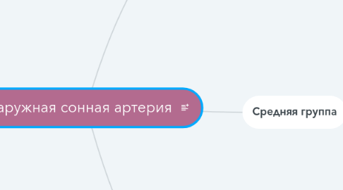 Mind Map: Наружная сонная артерия