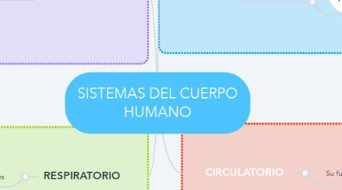 Mind Map: SISTEMAS DEL CUERPO HUMANO