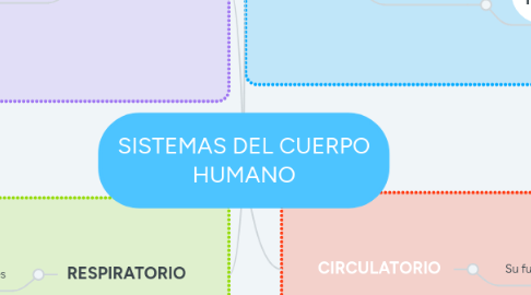 Mind Map: SISTEMAS DEL CUERPO HUMANO