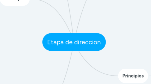 Mind Map: Etapa de direccion