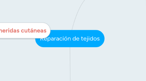 Mind Map: Reparación de tejidos