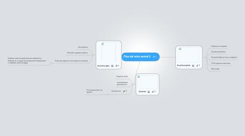 Mind Map: Filos del reino animal 2