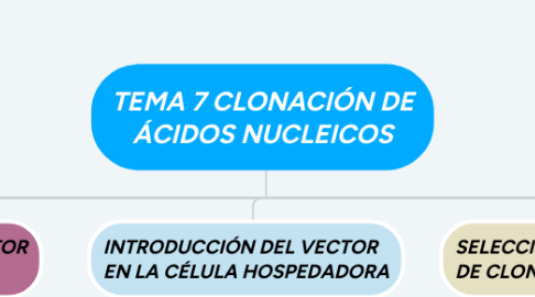 Mind Map: TEMA 7 CLONACIÓN DE ÁCIDOS NUCLEICOS