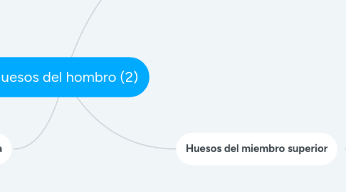 Mind Map: Huesos del hombro (2)