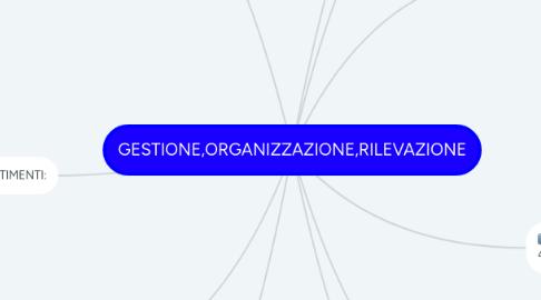 Mind Map: GESTIONE,ORGANIZZAZIONE,RILEVAZIONE