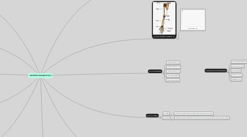 Mind Map: SISTEMA ESQUELÉTICO