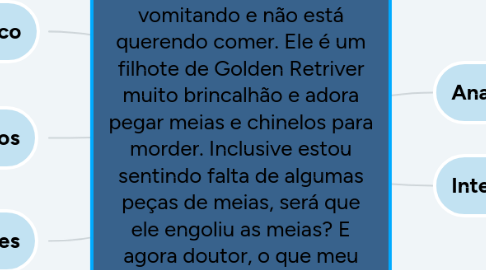 Mind Map: "Dr., meu cachorro está vomitando e não está querendo comer. Ele é um filhote de Golden Retriver muito brincalhão e adora pegar meias e chinelos para morder. Inclusive estou sentindo falta de algumas peças de meias, será que ele engoliu as meias? E agora doutor, o que meu filhote pode ter?".