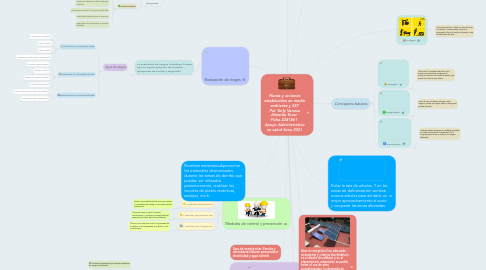 Mind Map: Planes y acciones establecidos en medio ambiente y SST Por Yerly Vanesa Almeida Tovar Ficha 2281861 Apoyo Administrativo en salud Sena 2021
