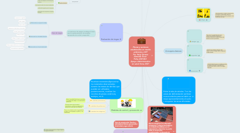 Mind Map: Planes y acciones establecidos en medio ambiente y SST Por Yerly Vanesa Almeida Tovar  Ficha 2281861  Apoyo Administrativo en salud Sena 2021