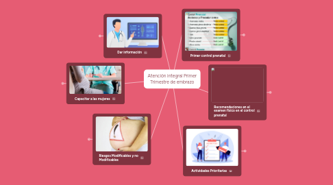 Mind Map: Atención integral Primer Trimestre de embrazo