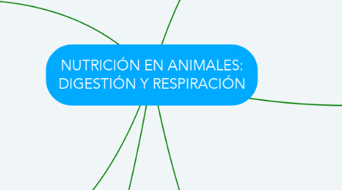 Mind Map: NUTRICIÓN EN ANIMALES: DIGESTIÓN Y RESPIRACIÓN