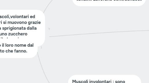 Mind Map: Muscoli