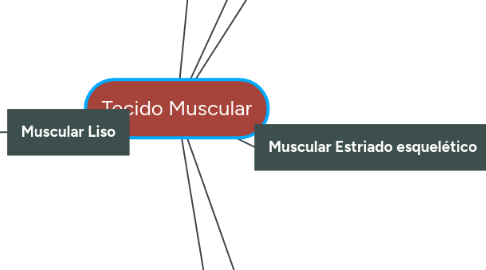 Mind Map: Tecido Muscular