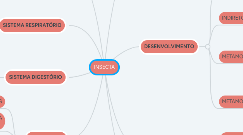 Mind Map: INSECTA