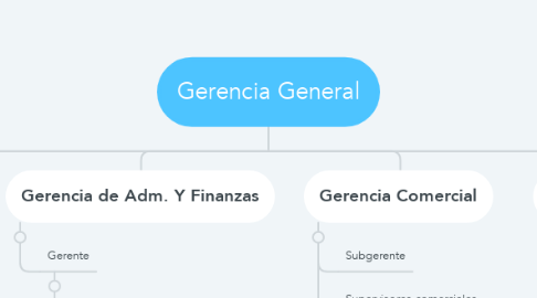 Mind Map: Gerencia General
