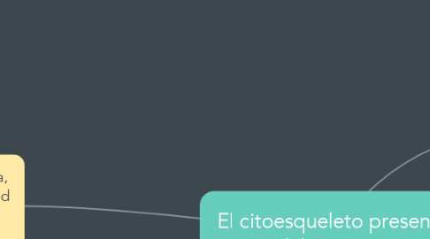 Mind Map: El citoesqueleto presente en celulas eucariotas.