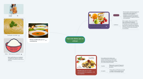 Mind Map: Tipos de dietas que se utilizan