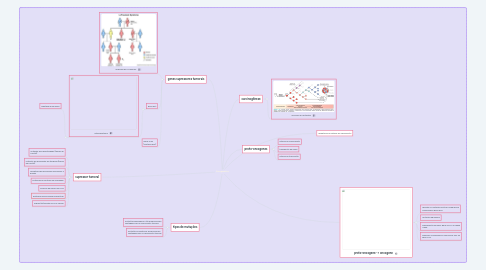 Mind Map: Oncogenética