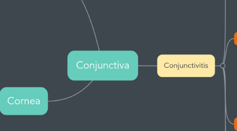 Mind Map: Conjunctiva