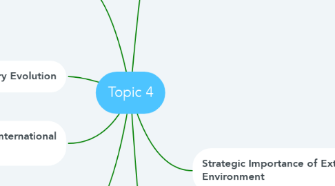 Mind Map: Topic 4
