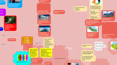 Mind Map: COMPONENTES DEL MEDIO AMBIENTE