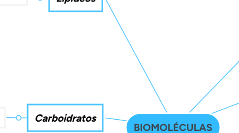 Mind Map: BIOMOLÉCULAS