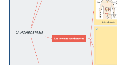 Mind Map: LA HOMEOSTASIS