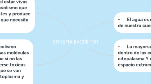 Mind Map: SISTEMA EXCRETOR