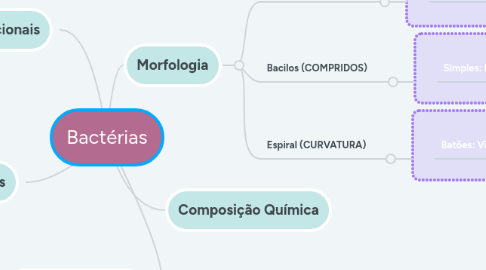 Mind Map: Bactérias